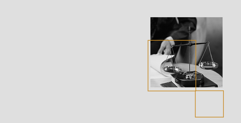 cms-banner2